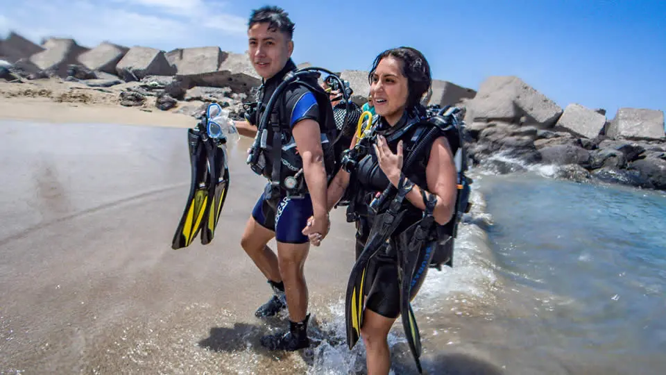 padi open water diver
