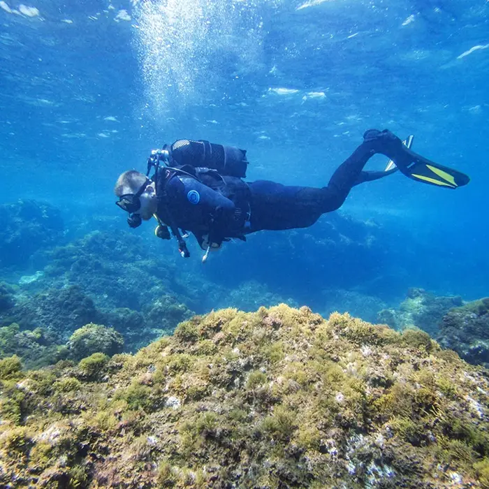 Aquarius Reef Tenerife Aquarius Reef Tenerife
