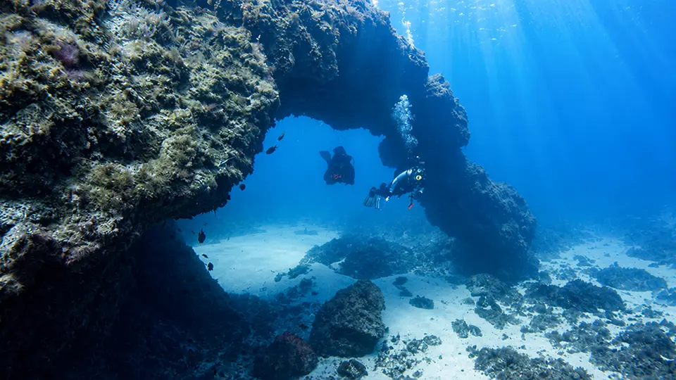 Boat Diving Tenerife Boat Diving Tenerife
