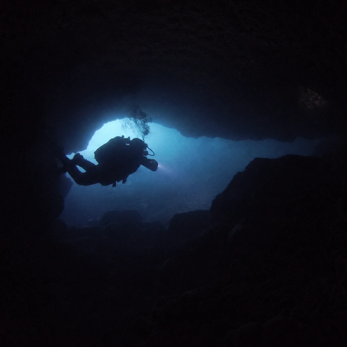 Cueva de los Cerebros dive site Tenerife Cueva de los Cerebros dive site Tenerife