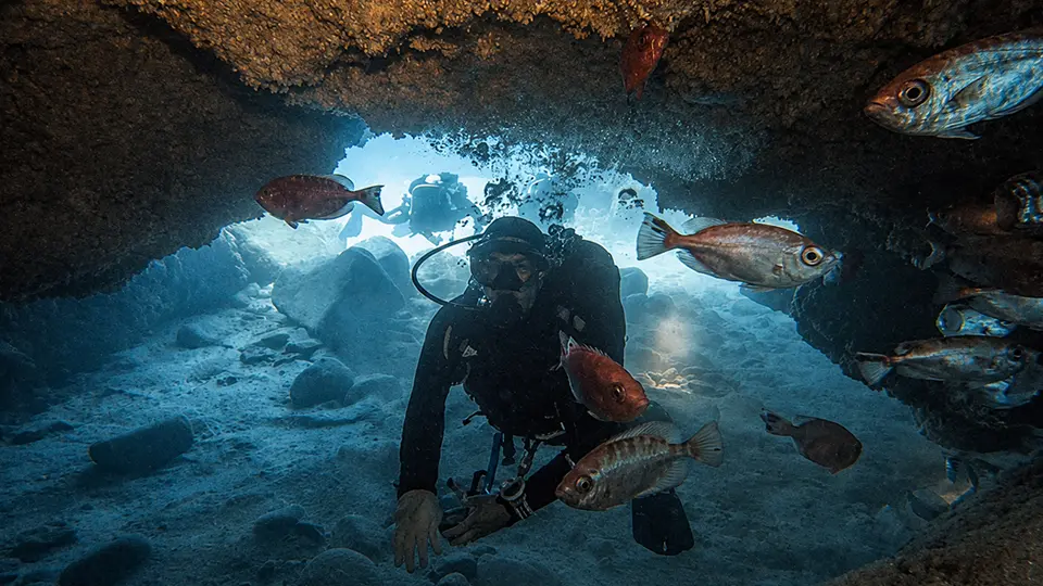 Punto de buceo Cueva del Zorro Tenerife Punto de buceo Cueva del Zorro Tenerife
