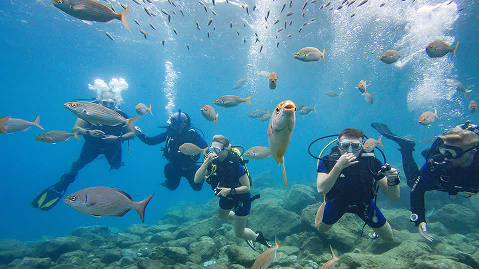 Discover Scuba try dive in Tenerife Discover Scuba try dive in Tenerife: instructor guiding first-time divers in calm, shallow water