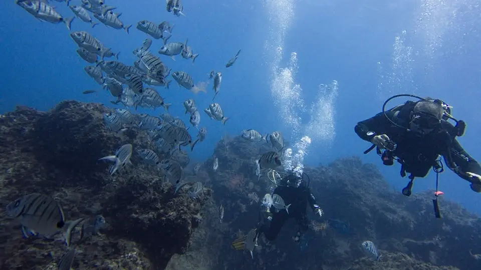 La Falla I and II dive site Tenerife La Falla I and II dive site Tenerife