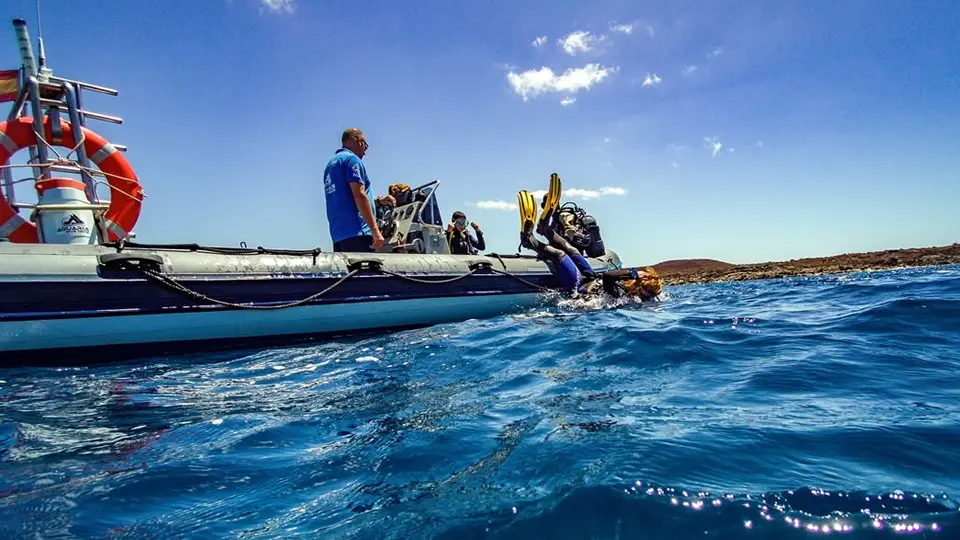 Punto de buceo La Herradura en Tenerife Punto de buceo La Herradura en Tenerife