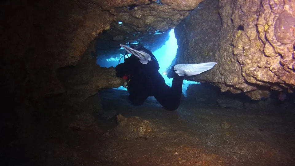 Las Eras dive site Tenerife Las Eras dive site Tenerife