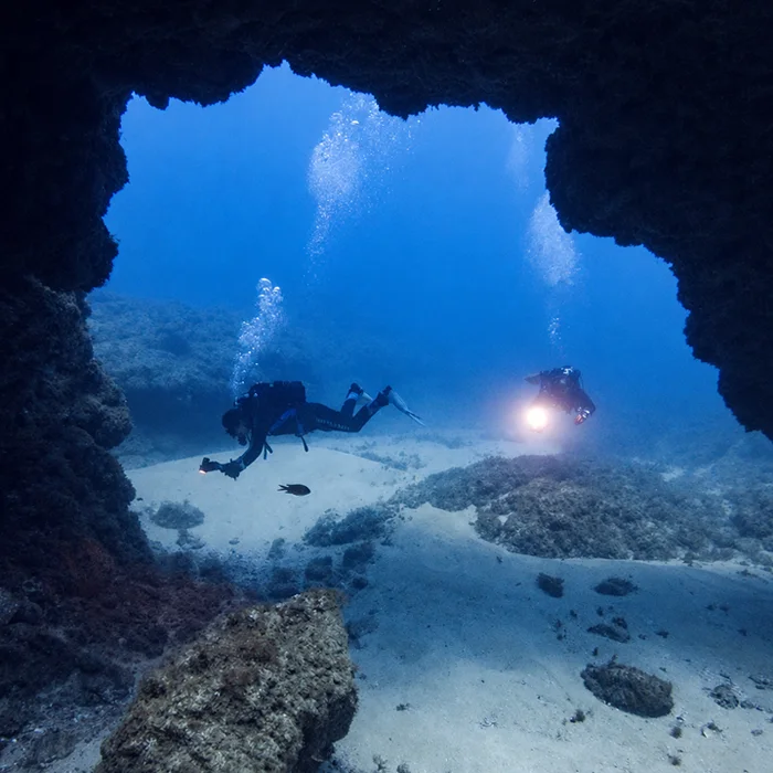 Los Arcos dive site Tenerife Los Arcos dive site Tenerife