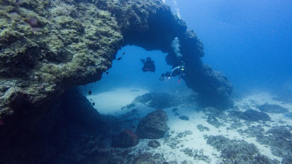 Los Arcos dive site Tenerife Los Arcos dive site Tenerife