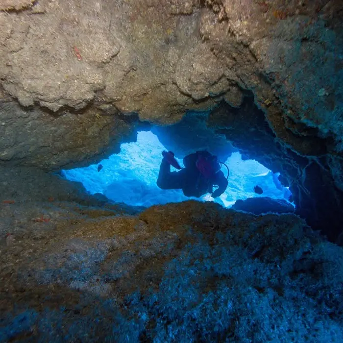 Punto de buceo Los Champiñones en Tenerife Punto de buceo Los Champiñones en Tenerife