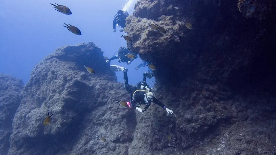 Los ChampiƱones dive site Tenerife Los ChampiƱones dive site Tenerife
