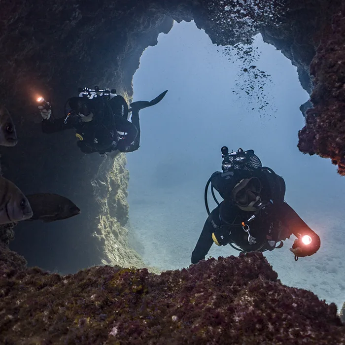 MontaƱa Amarilla dive site Tenerife MontaƱa Amarilla dive site Tenerife