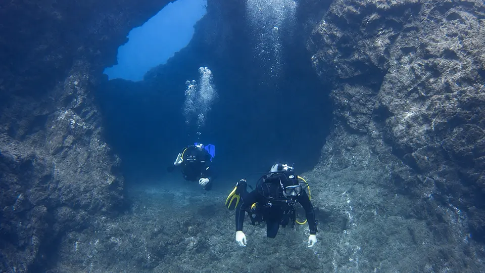 Montaña Amarilla dive site Tenerife Montaña Amarilla dive site Tenerife