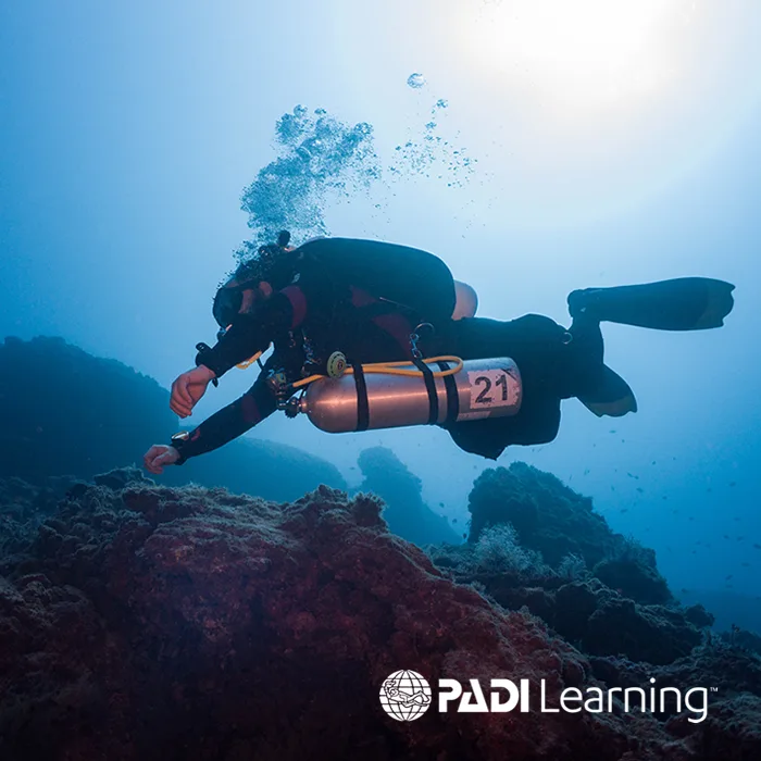 PADI Deep Diver Tenerife