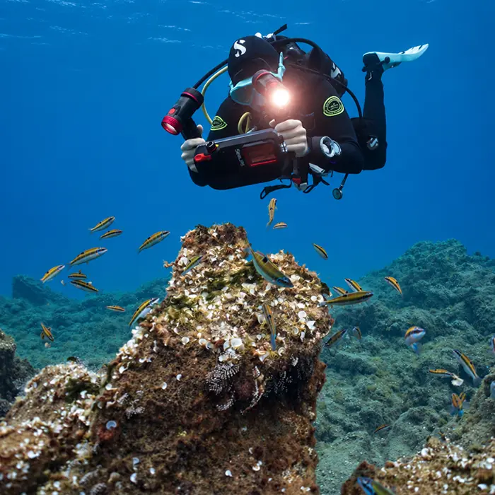 PADI Digital Underwater Photographer Tenerife PADI Digital Underwater Photographer Tenerife