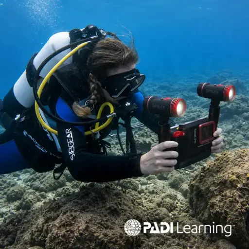 PADI Digital Underwater Photographer Tenerife
