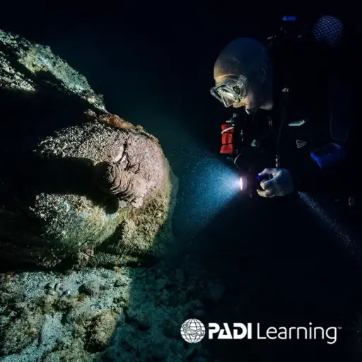 PADI Night Diver Tenerife
