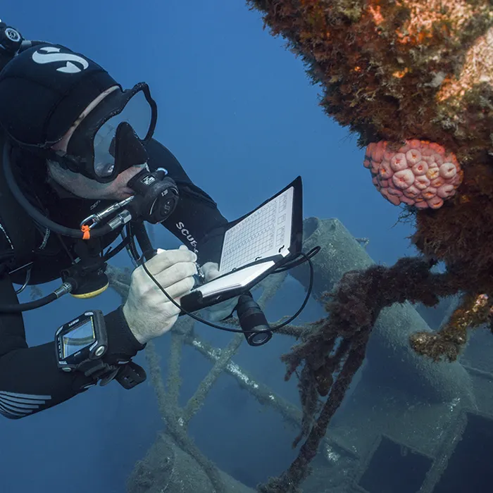 PADI Underwater Naturalist en Tenerife PADI Underwater Naturalist en Tenerife