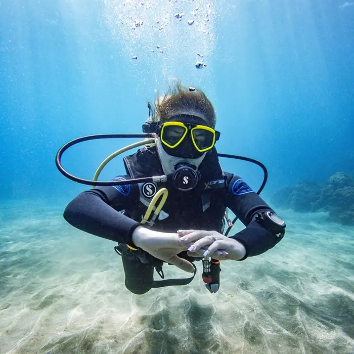 Punto de buceo Punta Maravilla en Tenerife Punto de buceo Punta Maravilla en Tenerife