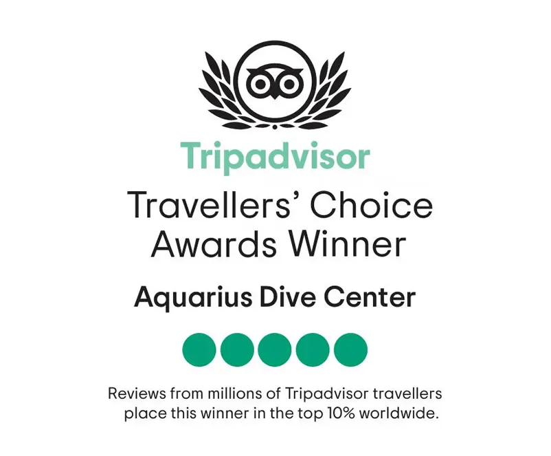 Tripadvisor travellers awards Tripadvisor travellers award