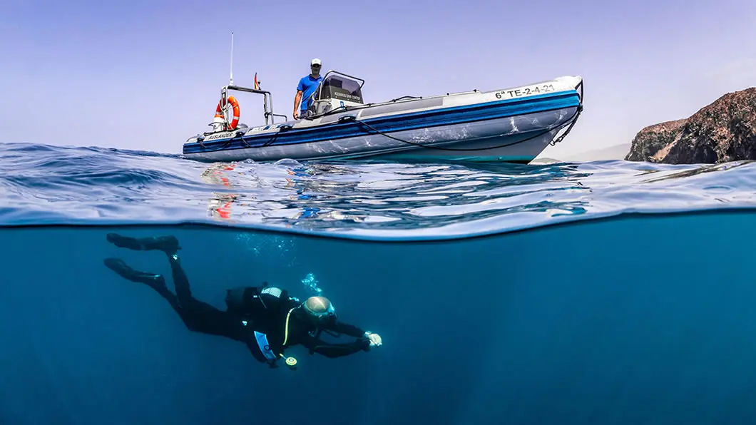 aquarius dive adventure tenerife aquarius dive adventure tenerife