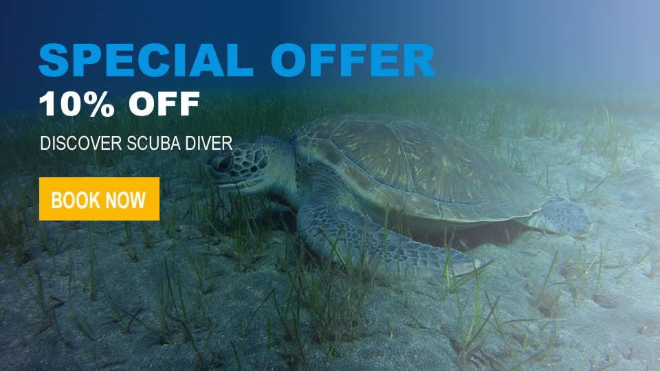 discover scuba diving offer