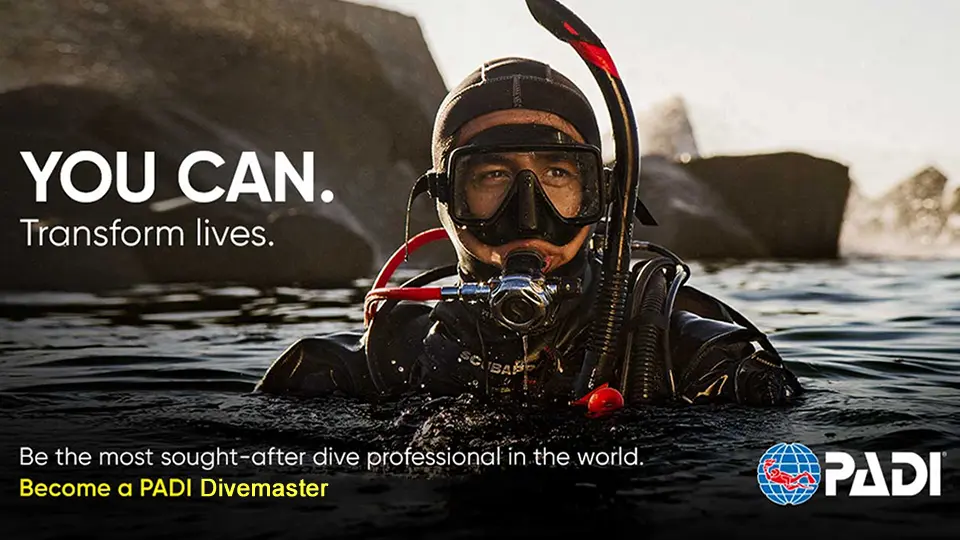 go pro become a padi divemaster go pro become a padi divemaster