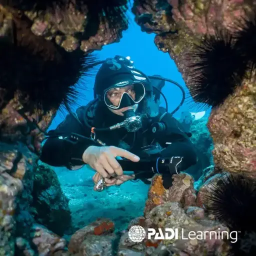 padi advanced diver