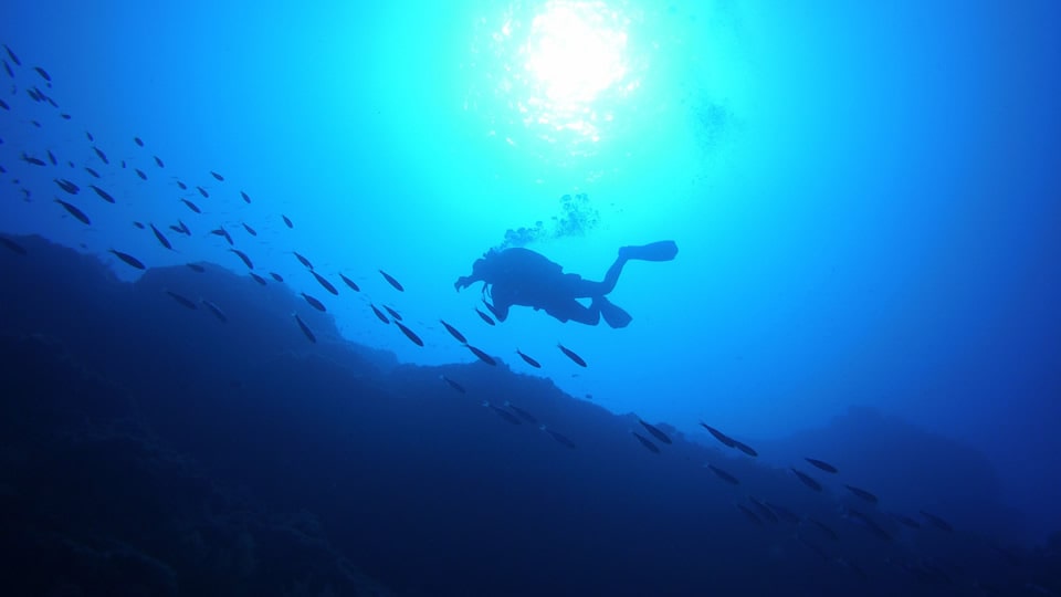 padi deep diver