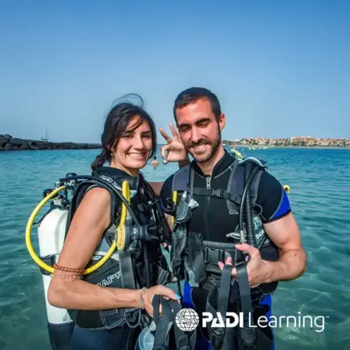 padi open water diver