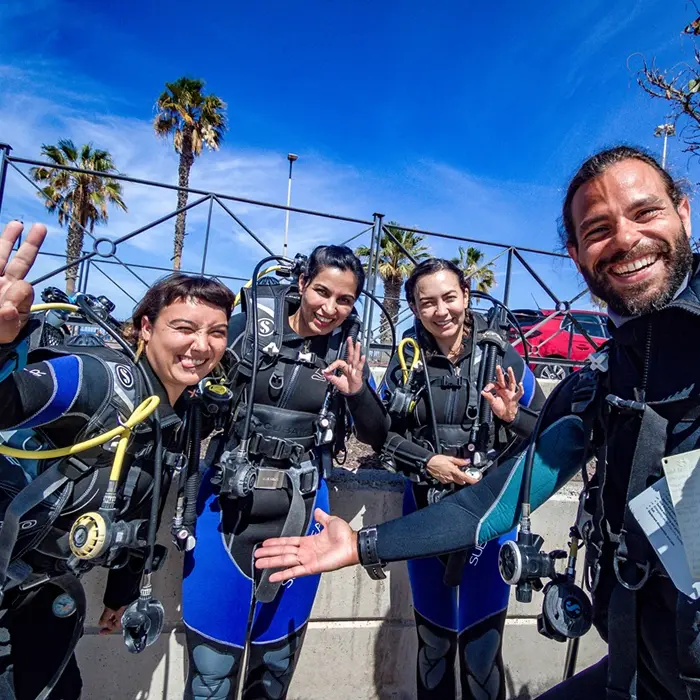 padi scuba diver upgrade padi scuba diver upgrade