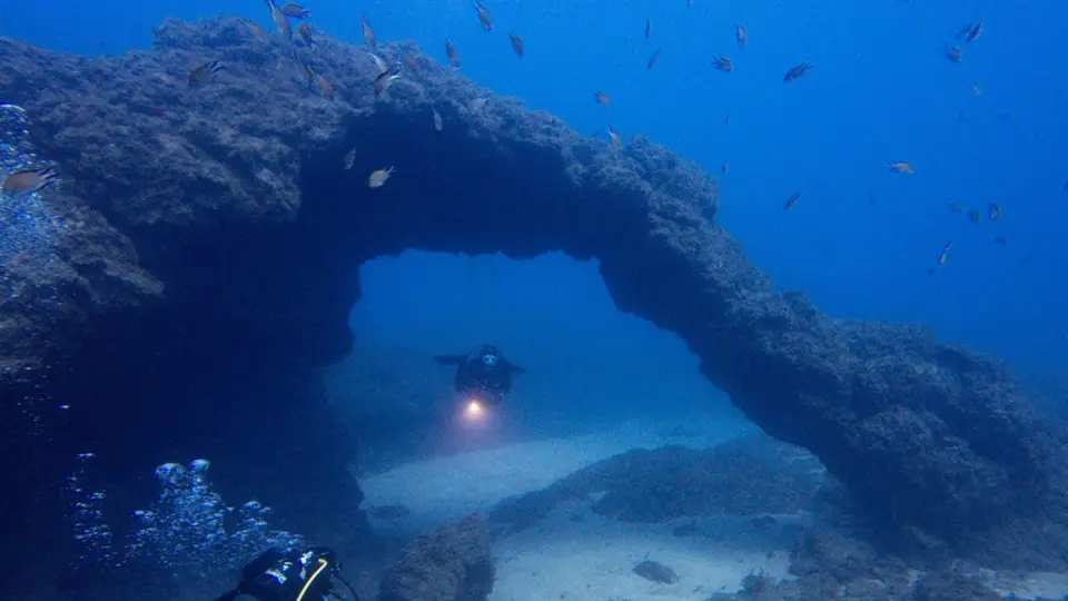 scuba diving in tenerife at Los Arcos scuba diving in tenerife at Los Arcos