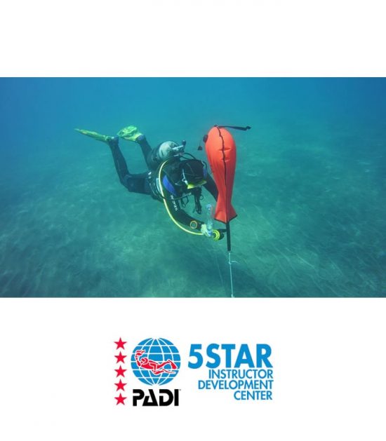 padi search and recovery